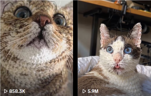 0.jpg